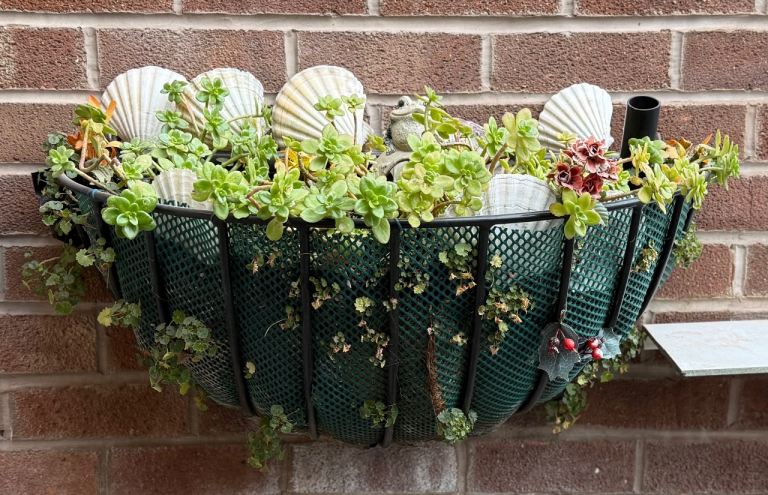 Large Metal Manger for Plants