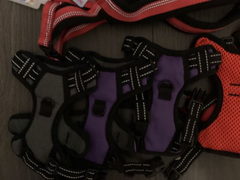 Bundle dog harnesses 
