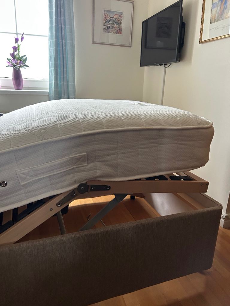 Mibed adjustable electric single bed