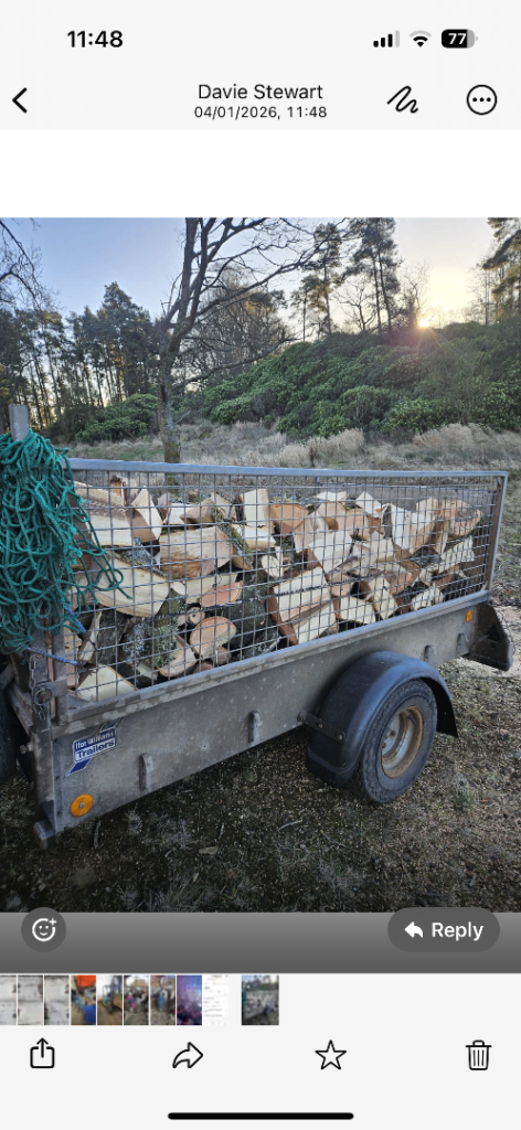 Hard wood logs for sale