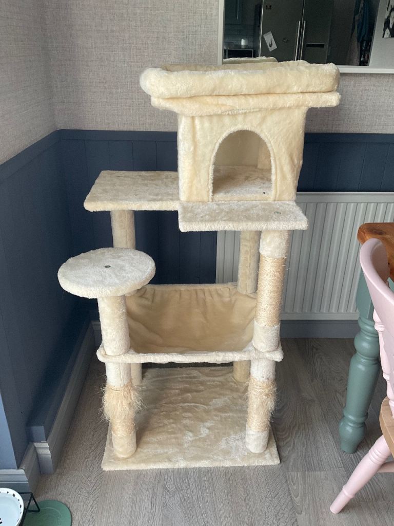 Cat stand 