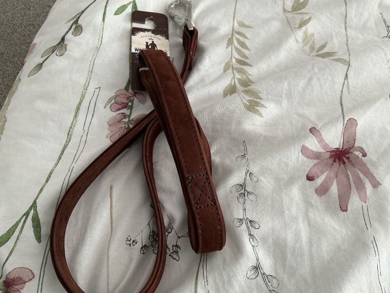 Wainwrights leather dog kead