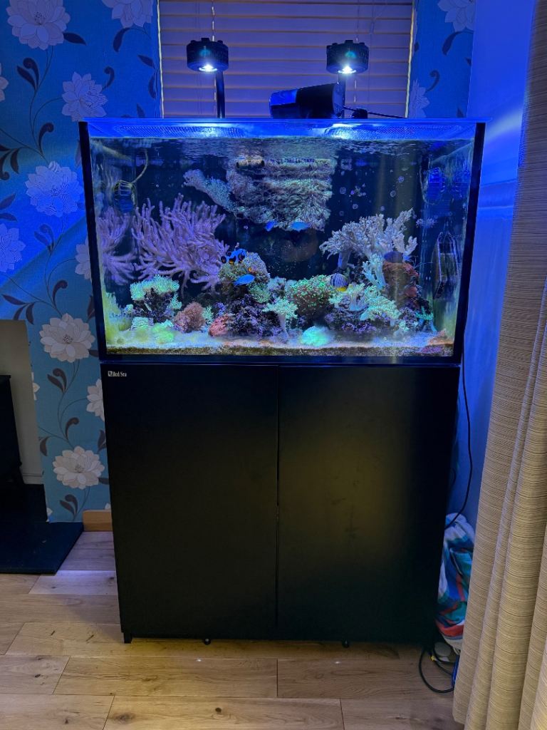 Redsea Reefer XL300 G2 Marine Tank