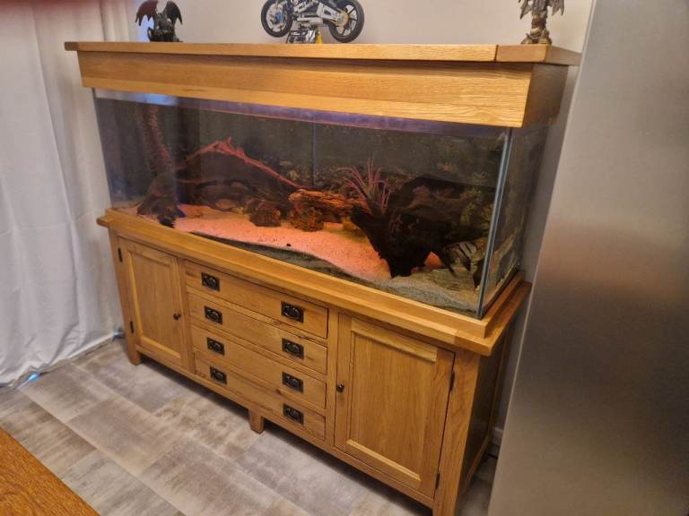 6 ft solid oak fish tank with fluvalfx6 filter and lighs,heater and air pump