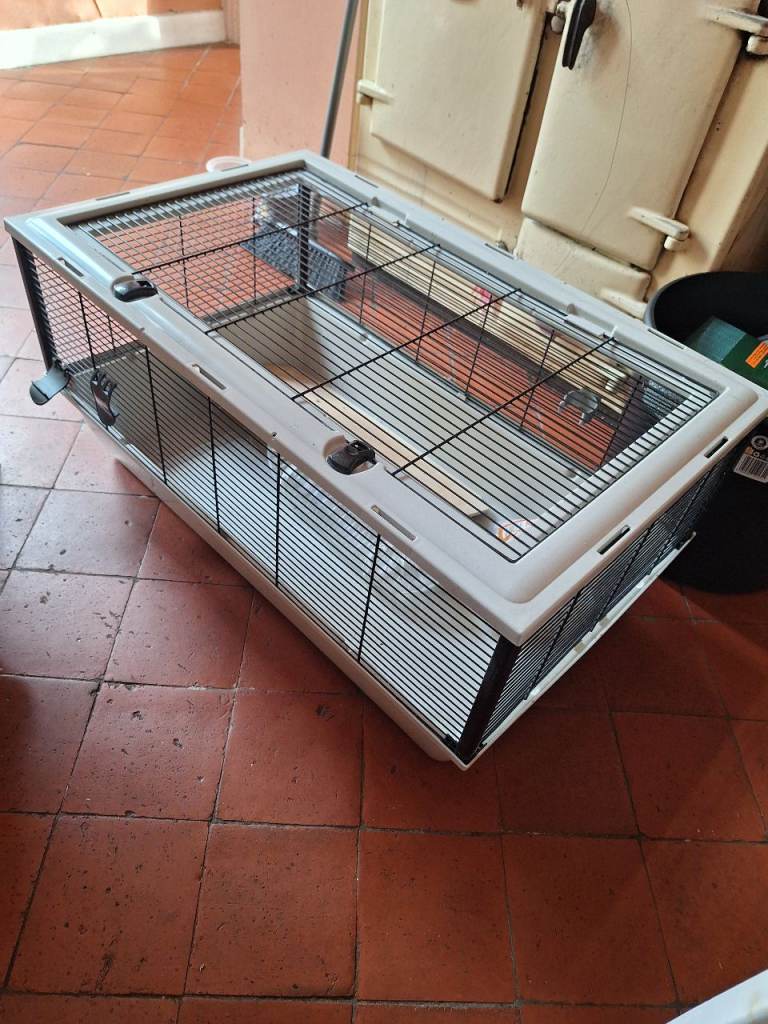 Hamster cage and accessories