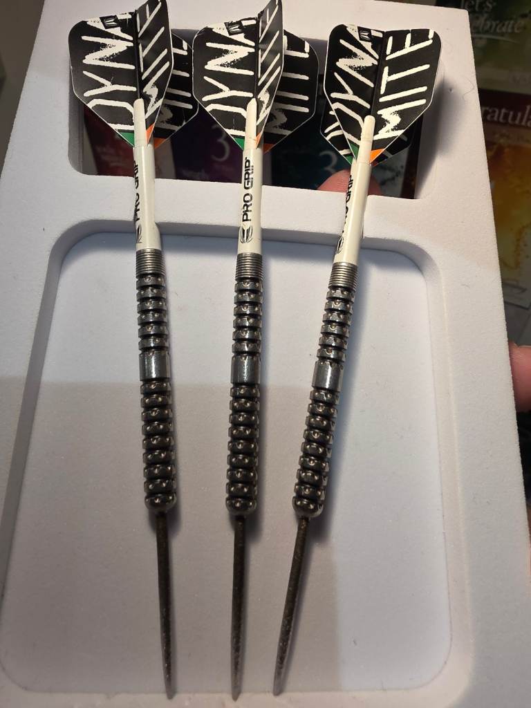 Keane Barry's 24g pixel grip darts