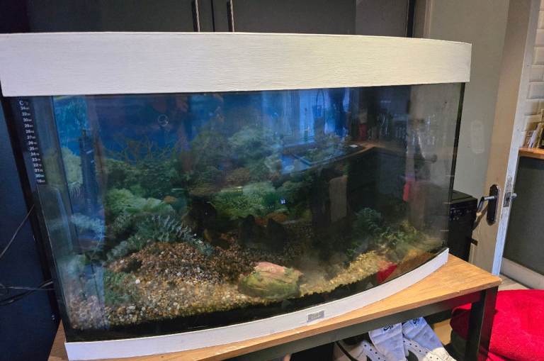 Fish tank 