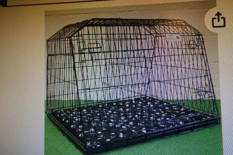 PET WORLD LARGE DOG CAGE FOR CAR, 38 INCH