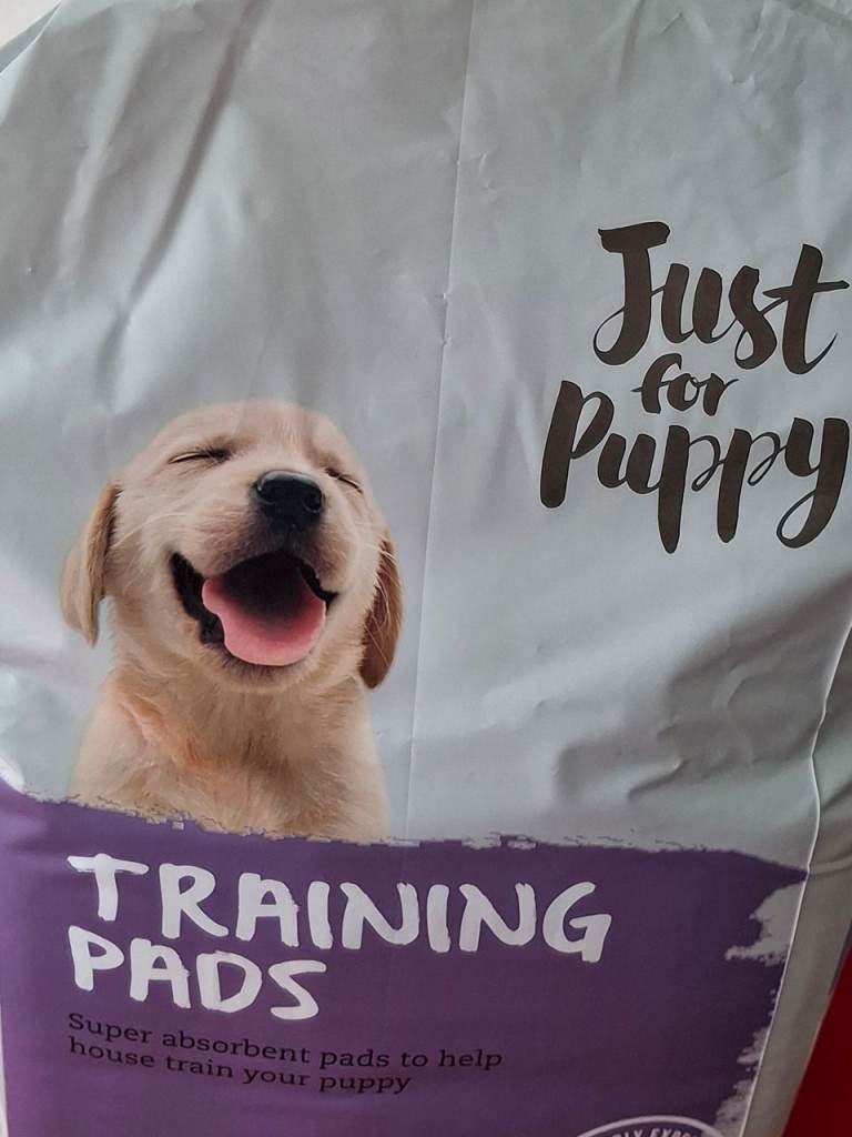 PETS AT HOME X 65 TRAINING PADS EXCELLENT NEW CONDITION 