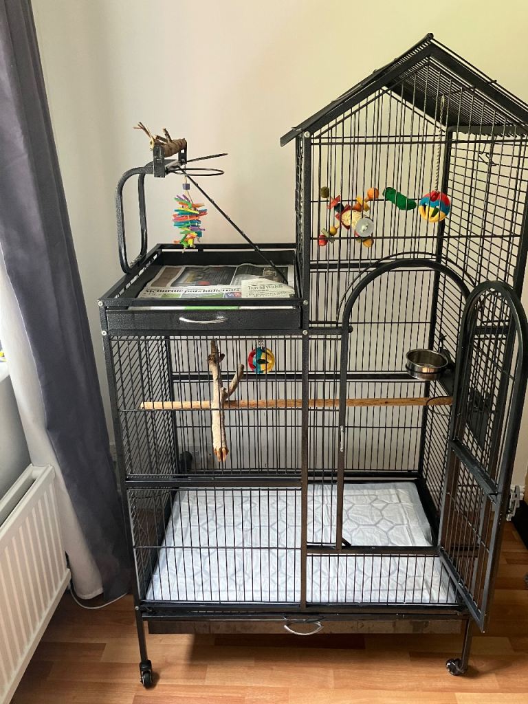 Parrot cage 