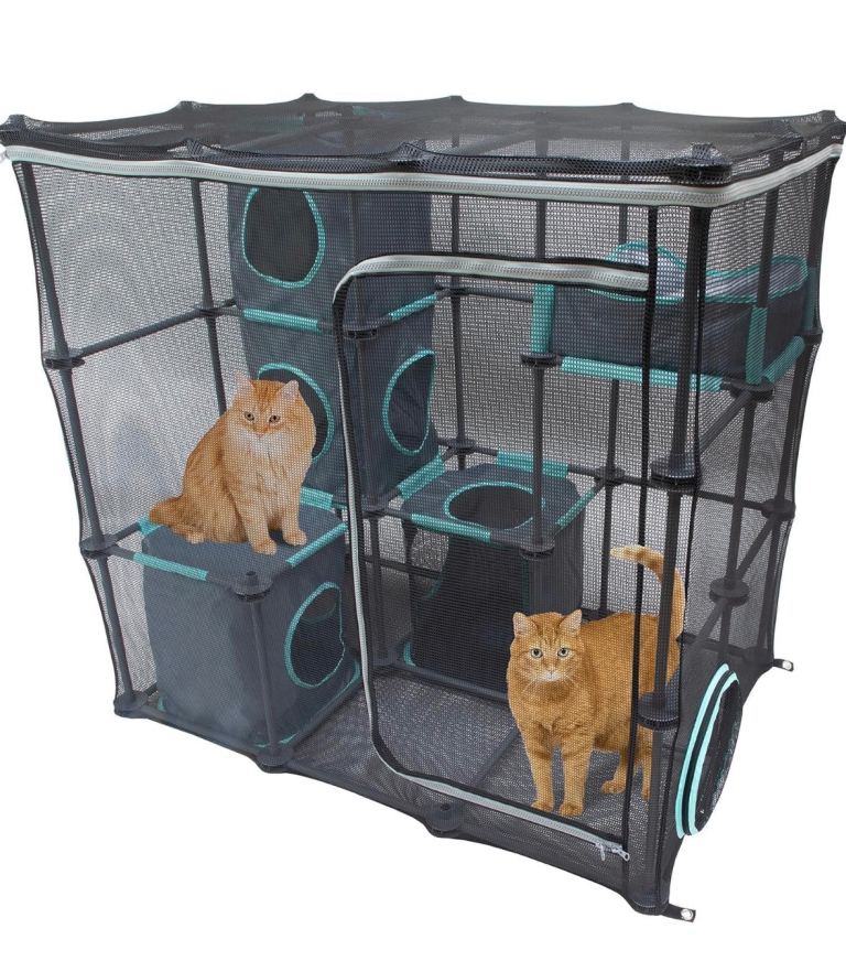 Outdoor catio 