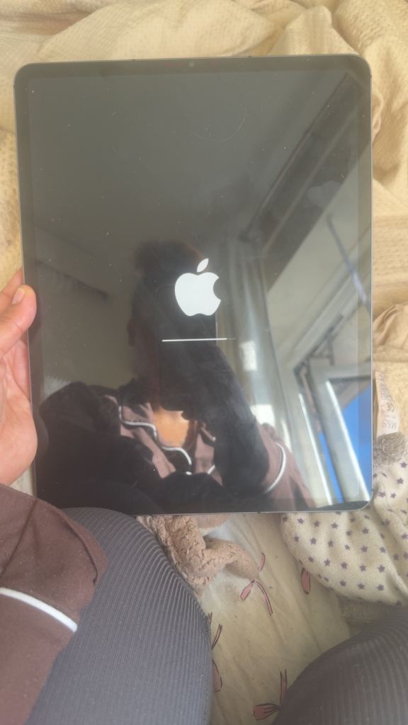 Apple iPad Pro (Space Grey) – Good Condition