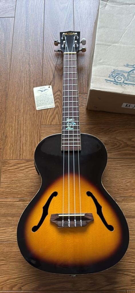 Kala Archtop Tobacco Burst Tenor Rosewood
