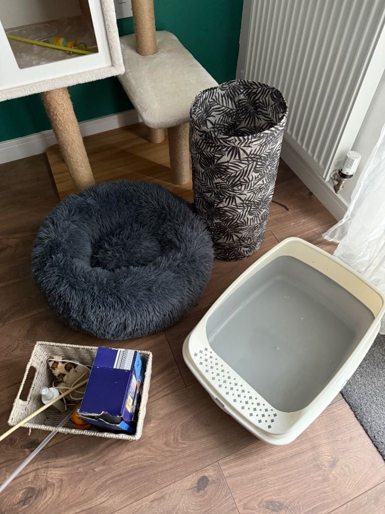 Cat Essentials Bundle for Sale