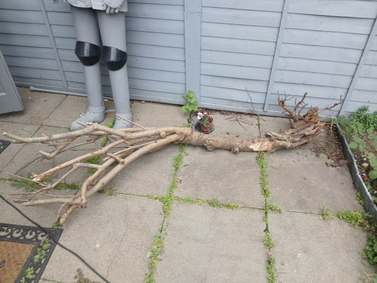 Free Log for Firewood Extra Dry 