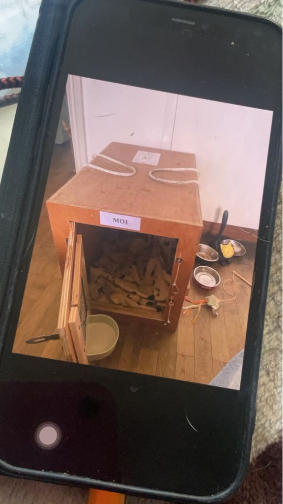 Sturdy Wooden Pet Crate for Cat or Small Dog