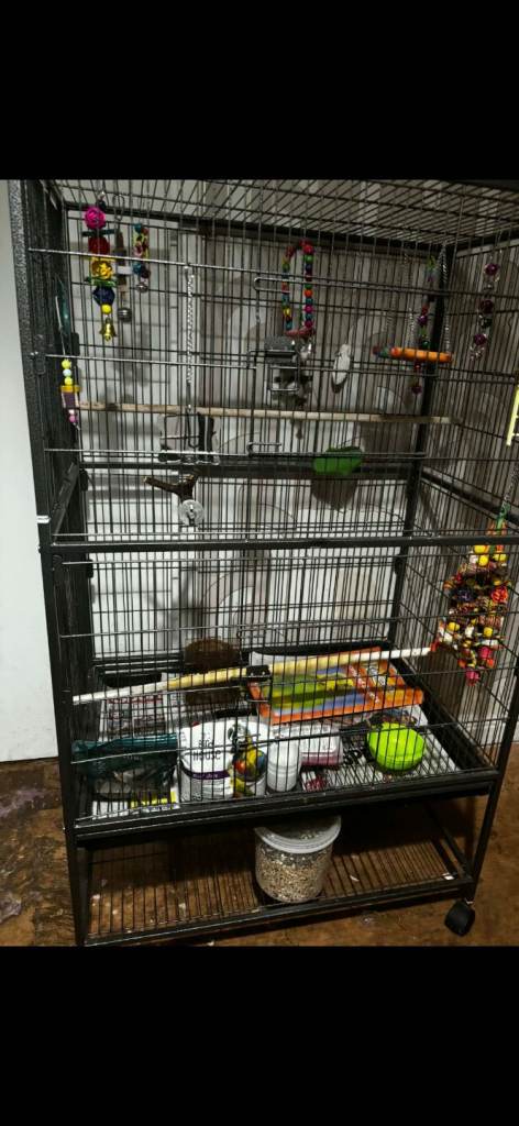 Large bird cage
