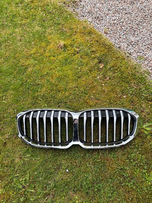 BMW front grille