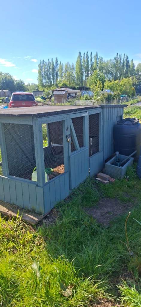 Chicken Coup