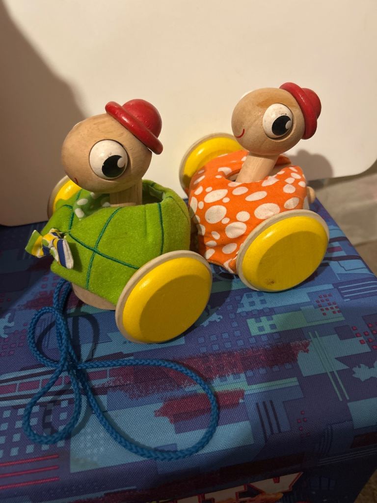 Wooden Pull Along Toy
