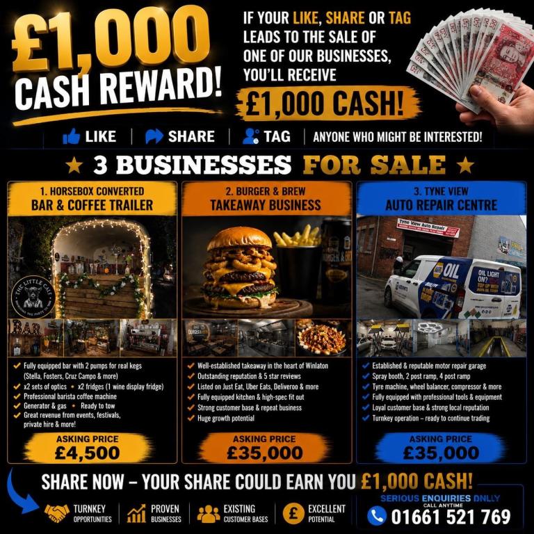 Businesses for sale 