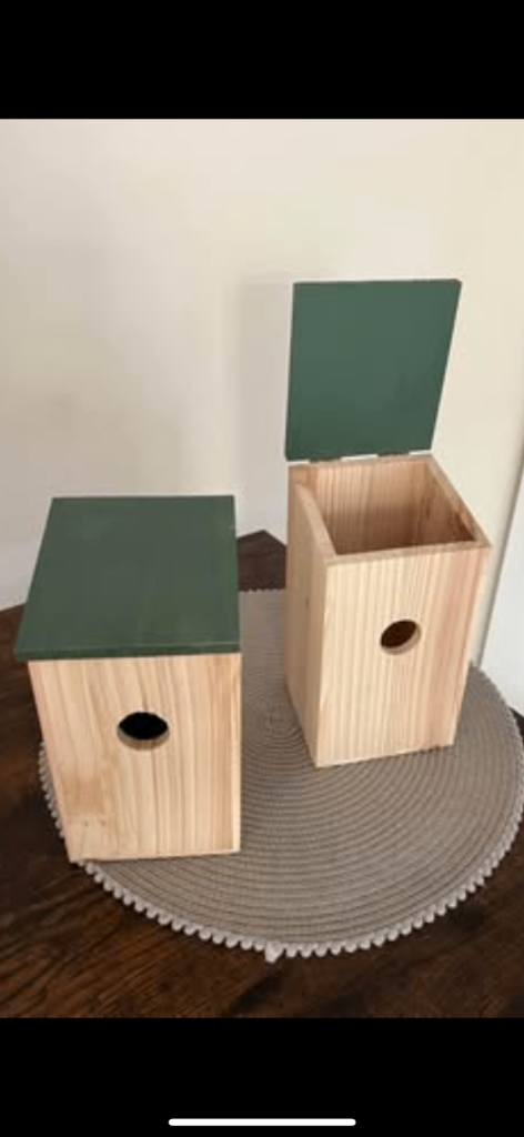 Bird Boxes