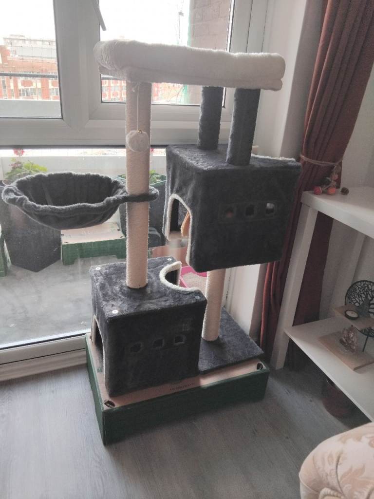 Cat Tree 