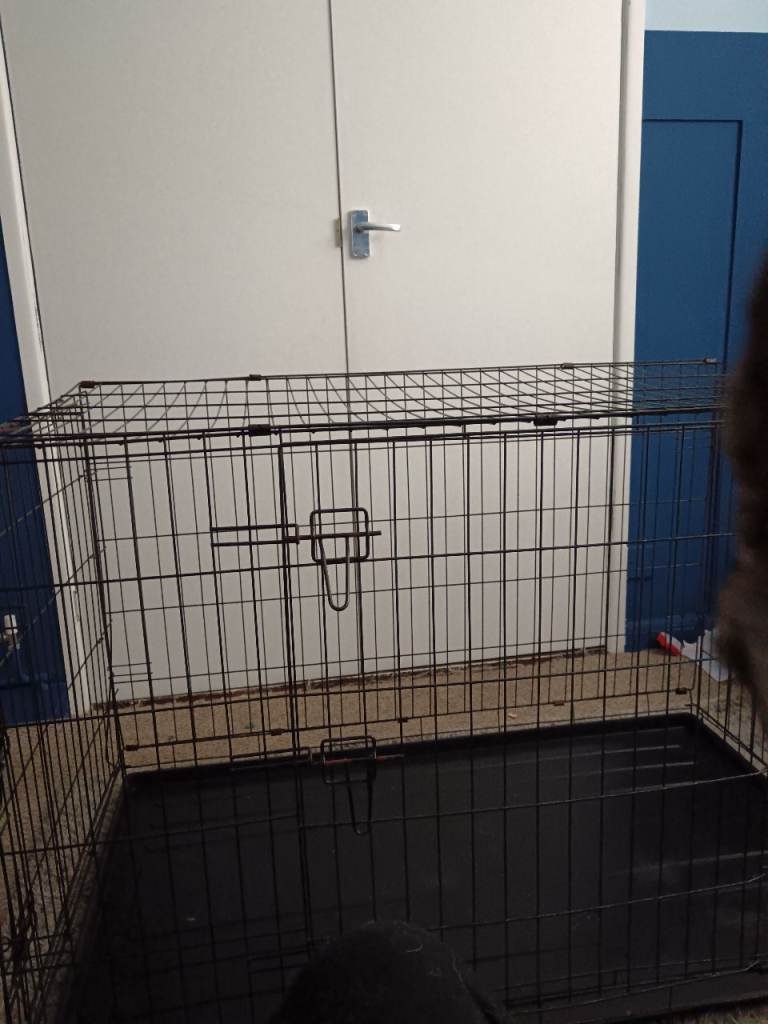 Large Dog Cage For Sale