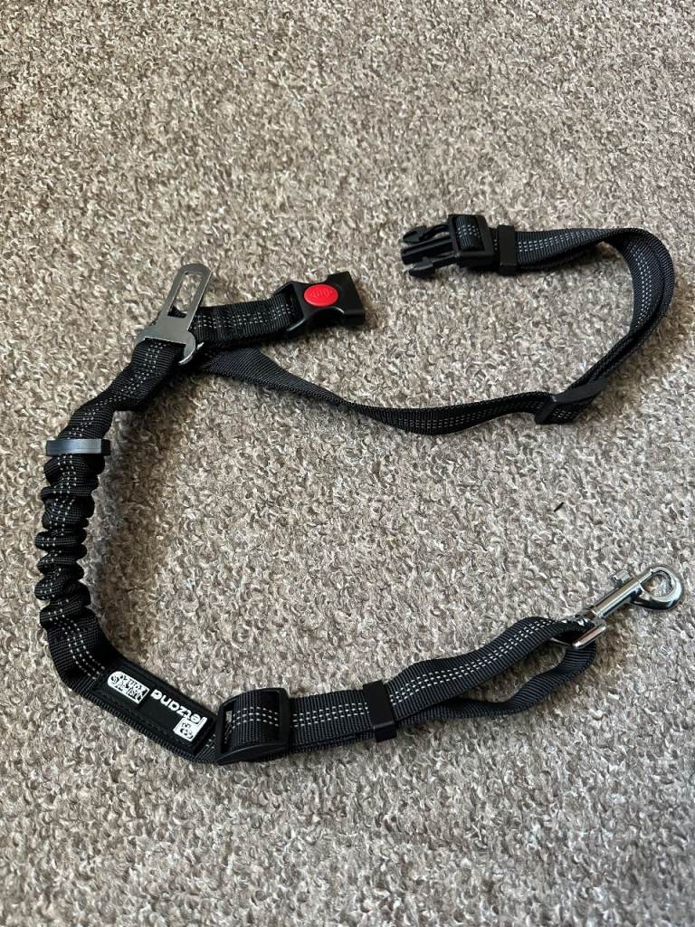 Dog safe harness for securing in your car (Unused)