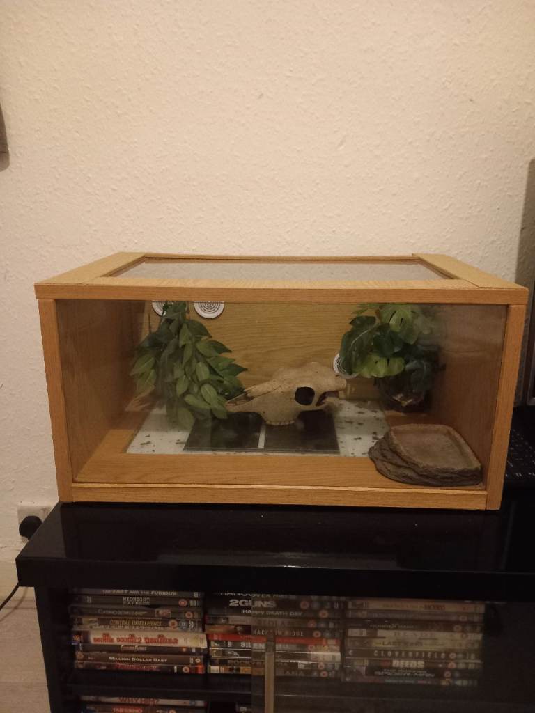 Oak & Glass Vivarium