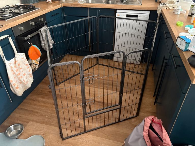 Pet playpen 