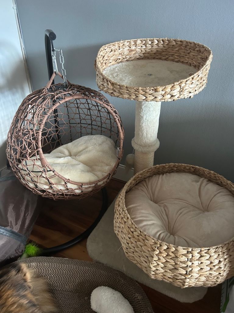 Cat swing and Paw Hut cat perch 