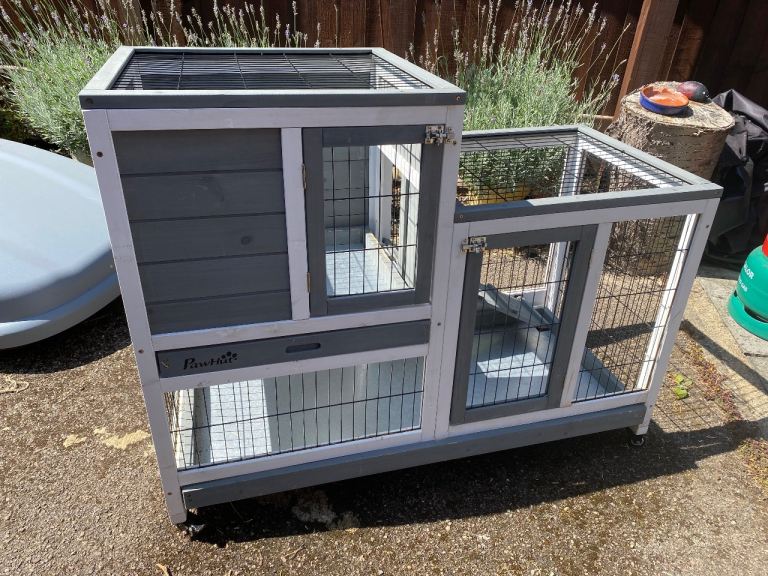 Indoor Guinea pig / small animal enclosure 