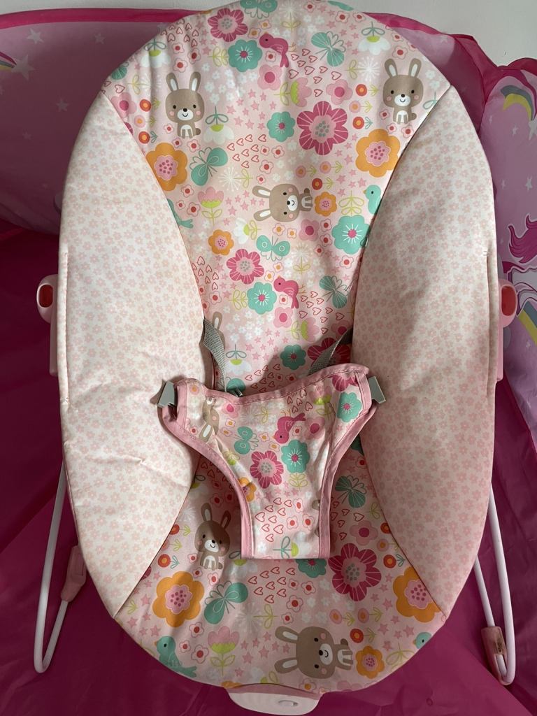 Baby bouncer