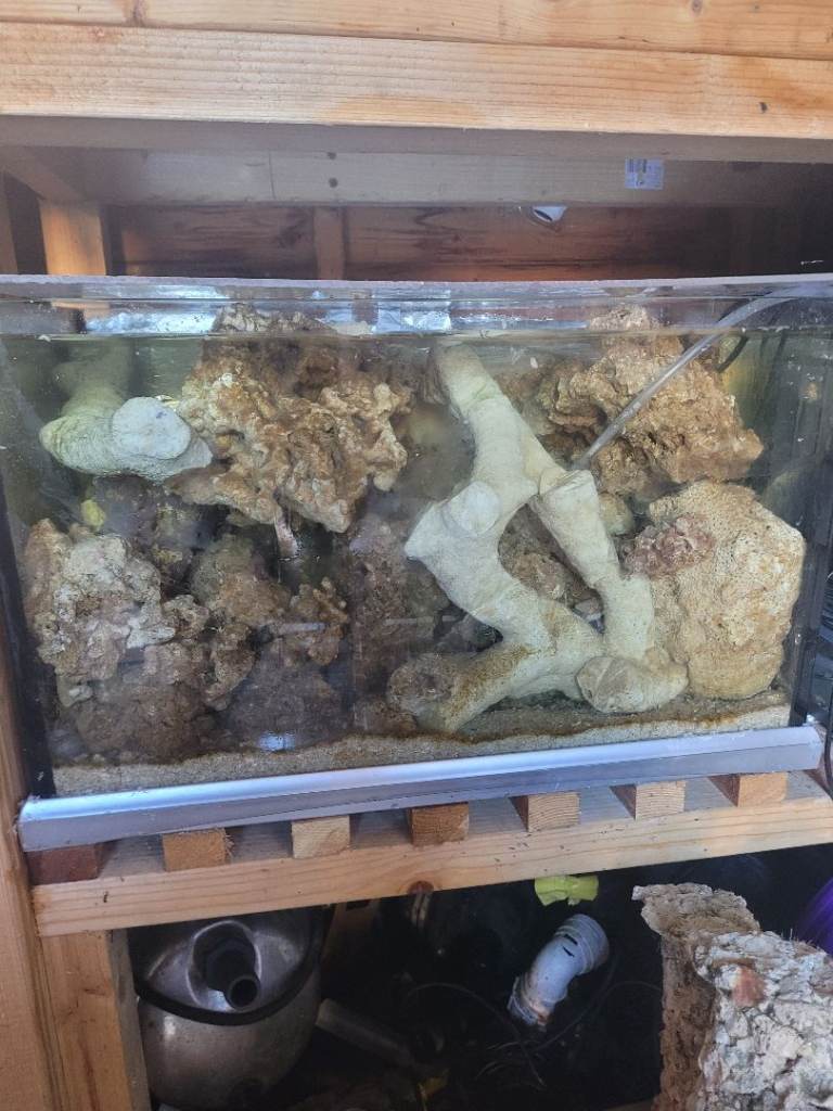 marine rock and dry rock