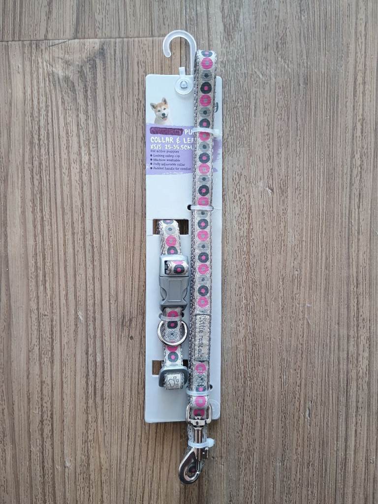 Puppy dog collar & lead Little rascal  Pink & Grey