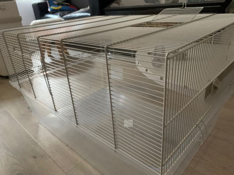 Small animal cage