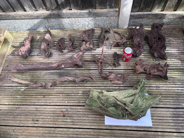 drift woods/ bog wood