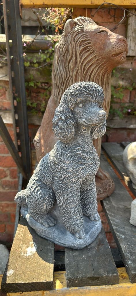 Stone poodle dog