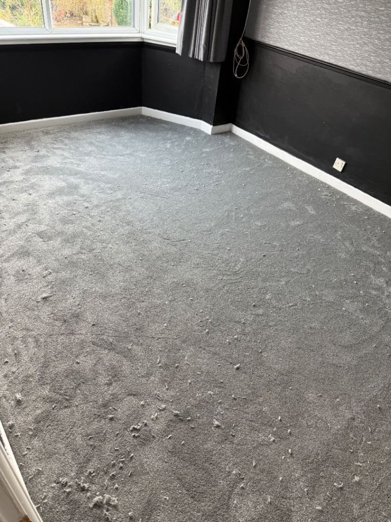 Carpet for sale lowest price all kind of flooring 
