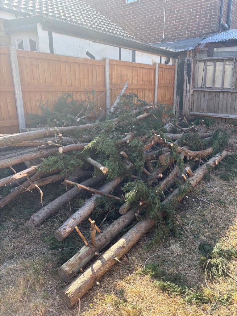 Free wood collection 