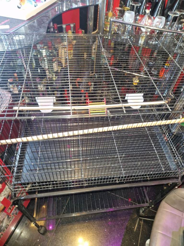 Large Black Bird Cage on Wheels