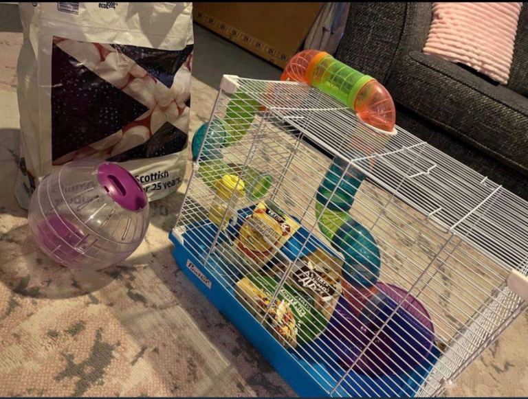 Hamster cage 