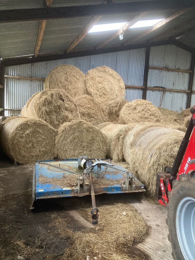 Hay