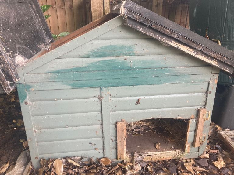 Rabbit hutch and run -large