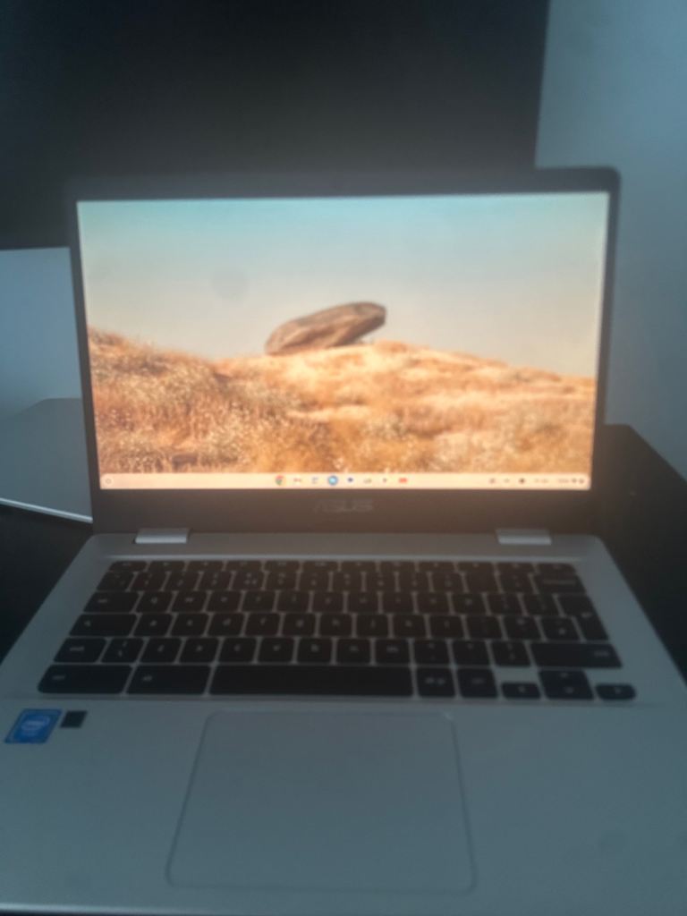 ASUS Chromebook 14"