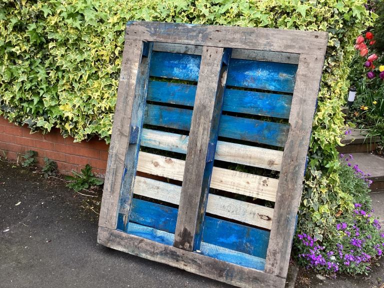 Free pallet just one