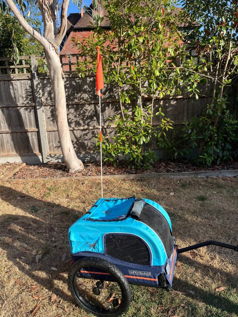 Hafenbande Dog trailer small/medium dog