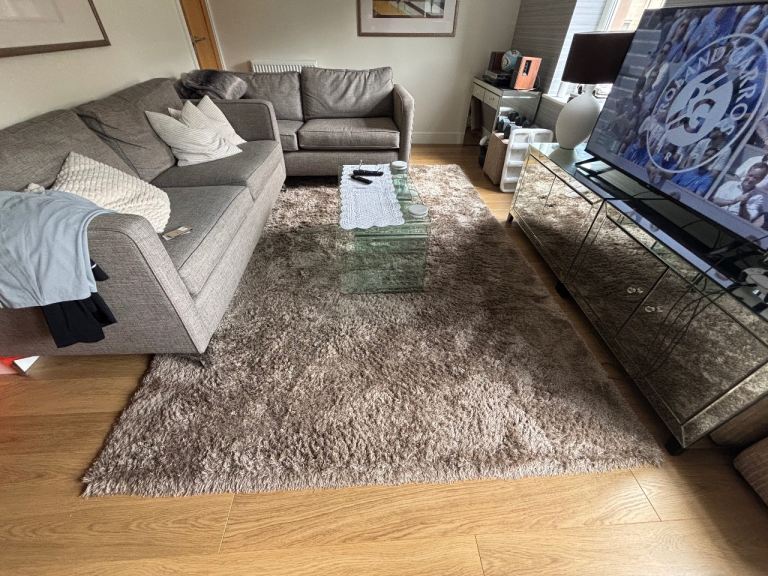 Living room rug