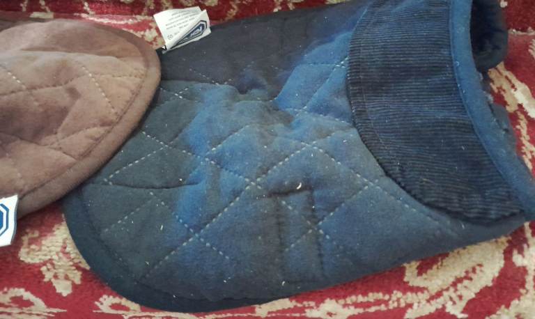 Rspca warm winter small dog coats